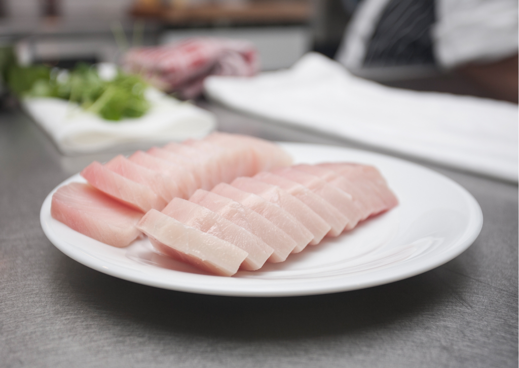 tonno albacore (binnaga-maguro)